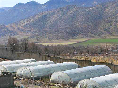 گلخانه های بنیاد تعاون زندانیان