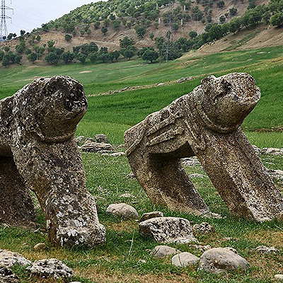 مرتضی محمدی