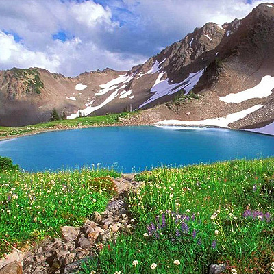 رضا سلیمانی